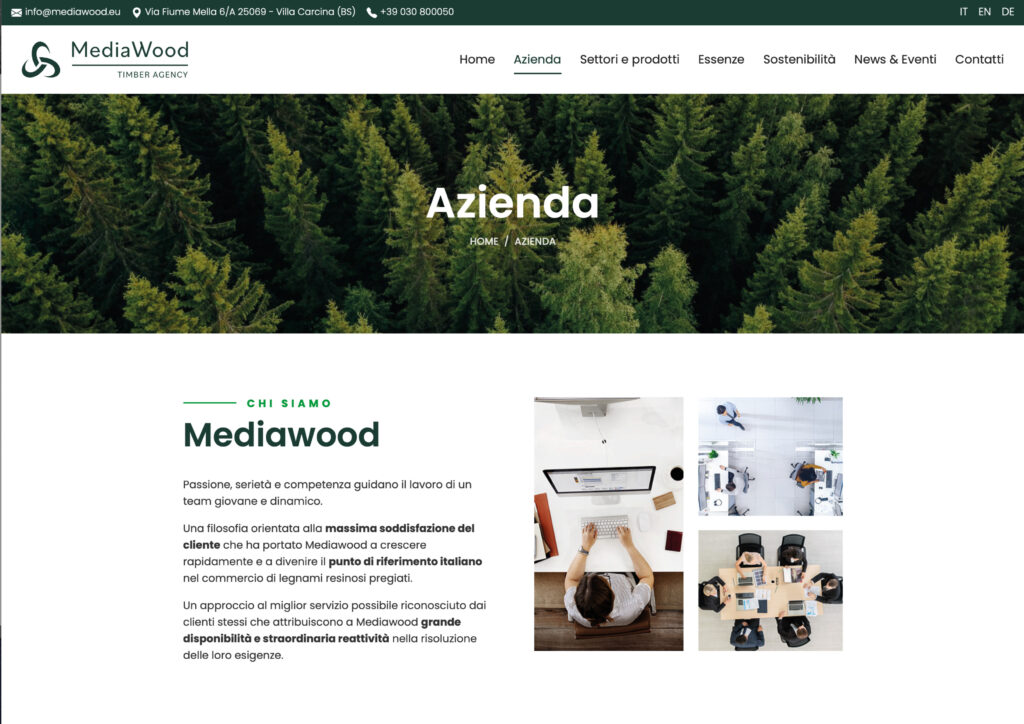Mediawood home page sito internet