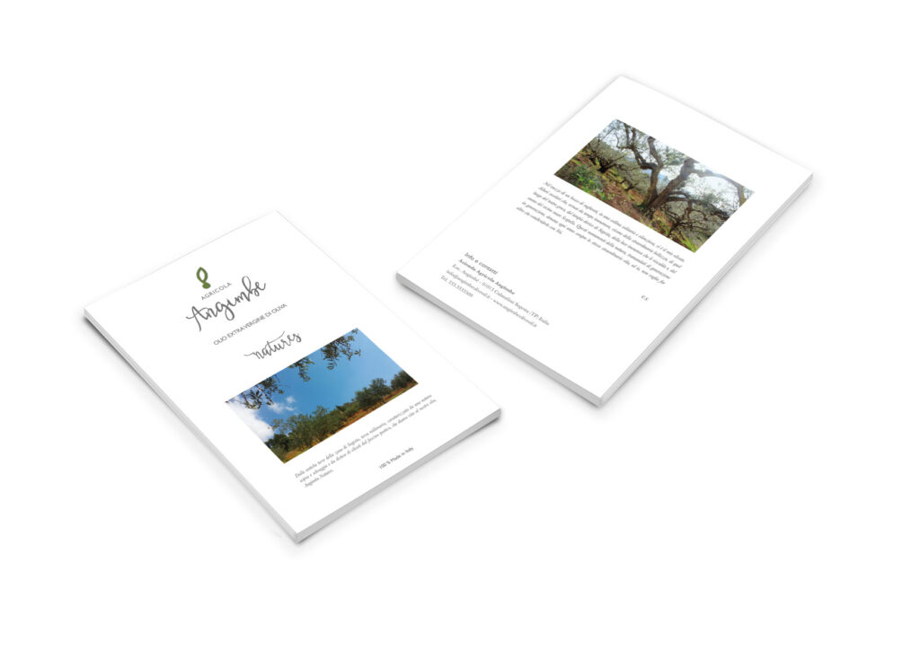 Angimbe cover brochure